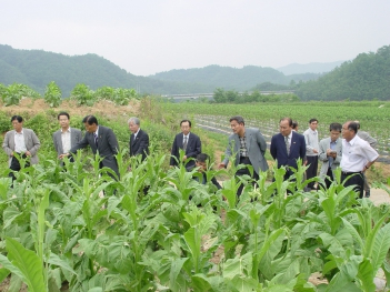 농작물 우박피해지역 현지확인(2)  대표이미지